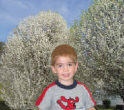 l010.jpg